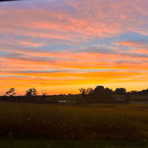 Meet your Posher, Avery